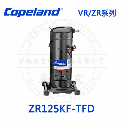 ZR125KF-TFD_1